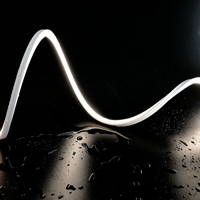 Neon Flex Ip68
